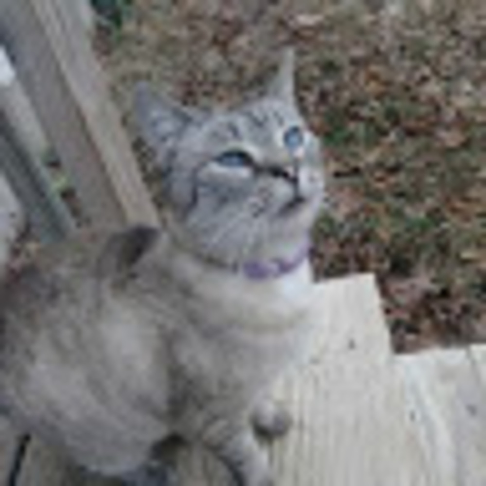 Meet your Posher, Magen